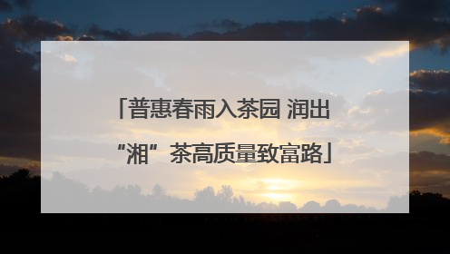 普惠春雨入茶园 润出“湘”茶高质量致富路