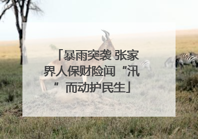 暴雨突袭 张家界人保财险闻“汛”而动护民生