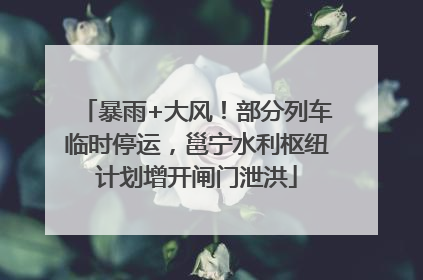 暴雨+大风！部分列车临时停运，邕宁水利枢纽计划增开闸门泄洪