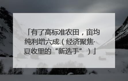 有了高标准农田，亩均纯利增六成（经济聚焦·夏收里的“新选手”）
