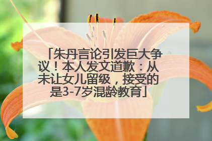朱丹言论引发巨大争议！本人发文道歉：从未让女儿留级，接受的是3-7岁混龄教育