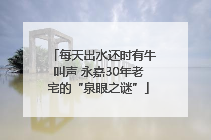 每天出水还时有牛叫声 永嘉30年老宅的“泉眼之谜”