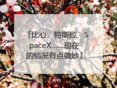 比心、特斯拉、SpaceX……现在的情况有点微妙