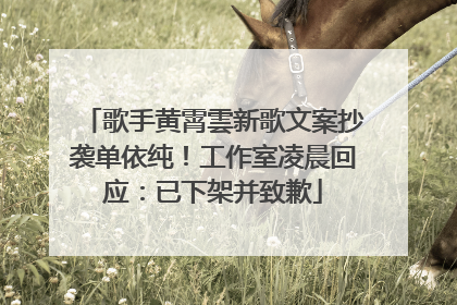 歌手黄霄雲新歌文案抄袭单依纯！工作室凌晨回应：已下架并致歉