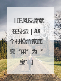 正风反腐就在身边｜88个村摸清家底变“闲”为“宝”