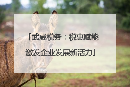 武威税务：税惠赋能 激发企业发展新活力