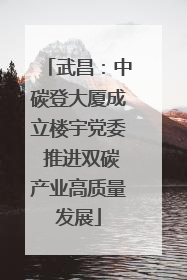 武昌：中碳登大厦成立楼宇党委 推进双碳产业高质量发展