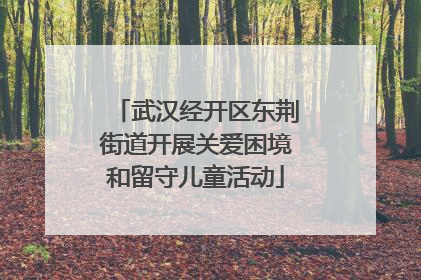 武汉经开区东荆街道开展关爱困境和留守儿童活动