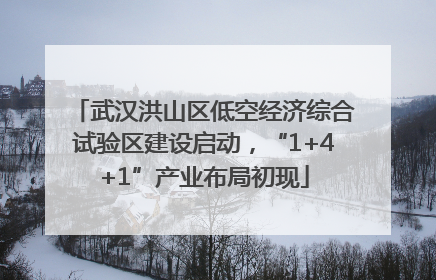武汉洪山区低空经济综合试验区建设启动，“1+4+1”产业布局初现