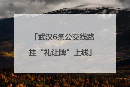 武汉6条公交线路挂“礼让牌”上线