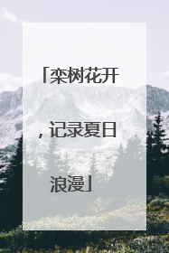 栾树花开，记录夏日浪漫