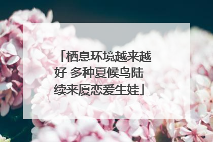 栖息环境越来越好 多种夏候鸟陆续来厦恋爱生娃