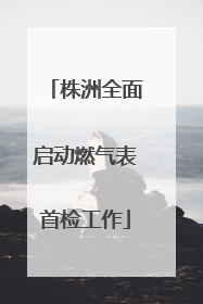 株洲全面启动燃气表首检工作
