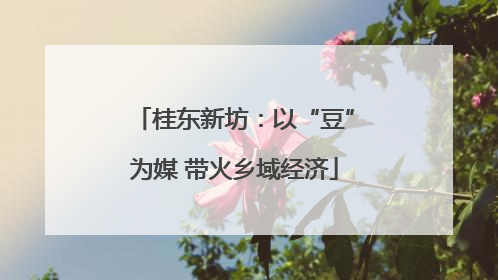 桂东新坊：以“豆”为媒 带火乡域经济
