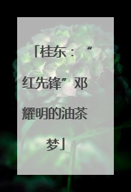 桂东：“红先锋”邓耀明的油茶梦