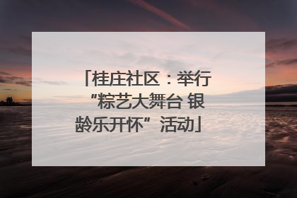 桂庄社区：举行“粽艺大舞台 银龄乐开怀”活动