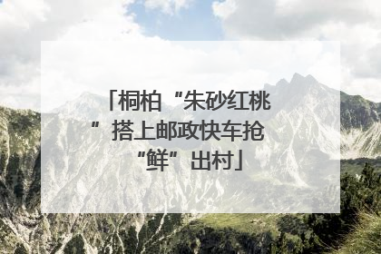 桐柏“朱砂红桃”搭上邮政快车抢“鲜”出村