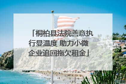 桐柏县法院善意执行显温度 助力小微企业追回拖欠租金