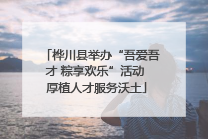 桦川县举办“吾爱吾才 粽享欢乐”活动 厚植人才服务沃土