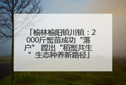 榆林榆阳镇川镇：2000斤蟹苗成功“落户” 蹚出“稻蟹共生”生态种养新路径