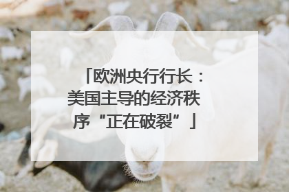 欧洲央行行长：美国主导的经济秩序“正在破裂”