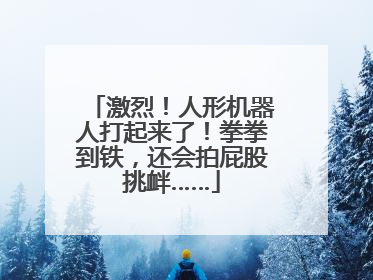 激烈！人形机器人打起来了！拳拳到铁，还会拍屁股挑衅……