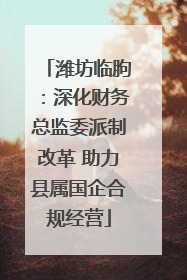 潍坊临朐：深化财务总监委派制改革 助力县属国企合规经营