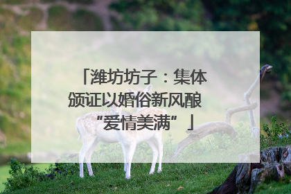 潍坊坊子：集体颁证以婚俗新风酿“爱情美满”
