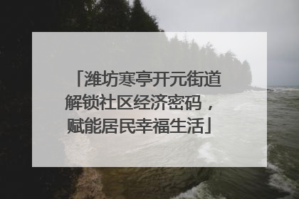 潍坊寒亭开元街道解锁社区经济密码，赋能居民幸福生活
