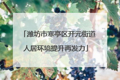 潍坊市寒亭区开元街道人居环境提升再发力