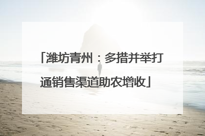 潍坊青州：多措并举打通销售渠道助农增收