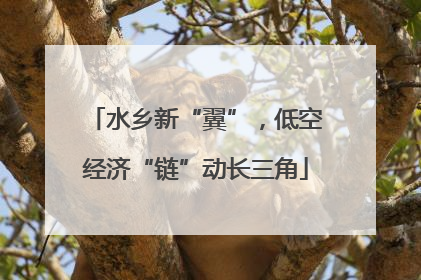 水乡新“翼”，低空经济“链”动长三角