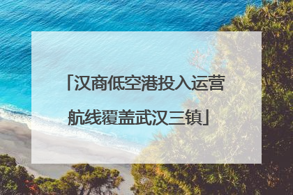 汉商低空港投入运营 航线覆盖武汉三镇