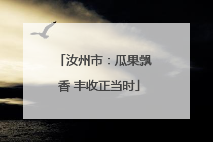 汝州市：瓜果飘香 丰收正当时