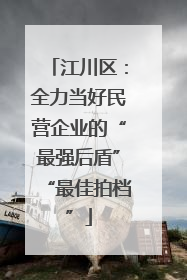江川区：全力当好民营企业的“最强后盾”“最佳拍档”