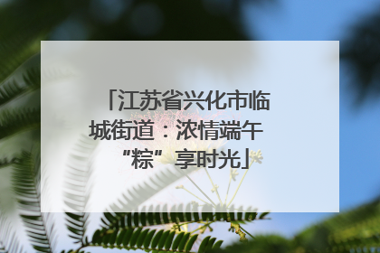 江苏省兴化市临城街道：浓情端午 “粽”享时光