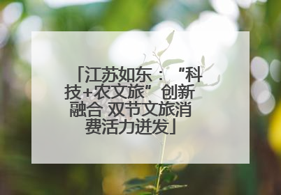 江苏如东：“科技+农文旅”创新融合 双节文旅消费活力迸发