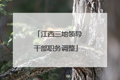 江西三地领导干部职务调整