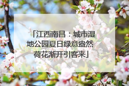 江西南昌：城市湿地公园夏日绿意盎然 荷花渐开引客来