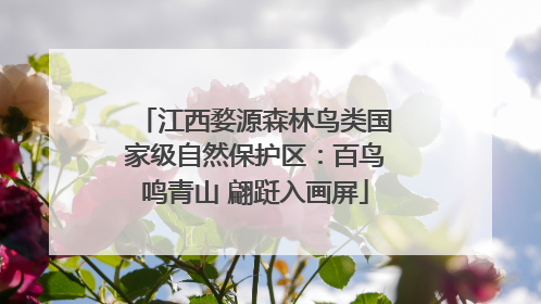 江西婺源森林鸟类国家级自然保护区：百鸟鸣青山 翩跹入画屏