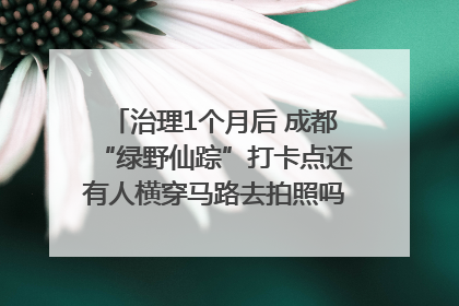 治理1个月后 成都“绿野仙踪”打卡点还有人横穿马路去拍照吗？｜民情瞭望