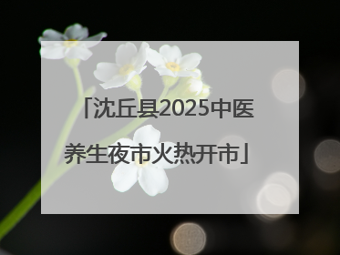 沈丘县2025中医养生夜市火热开市
