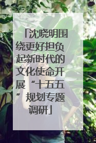 沈晓明围绕更好担负起新时代的文化使命开展“十五五”规划专题调研
