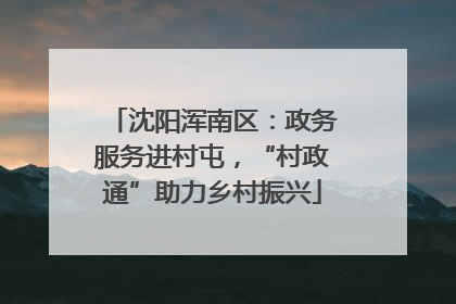 沈阳浑南区：政务服务进村屯，“村政通”助力乡村振兴