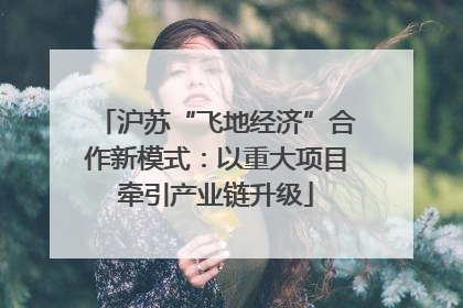 沪苏“飞地经济”合作新模式：以重大项目牵引产业链升级