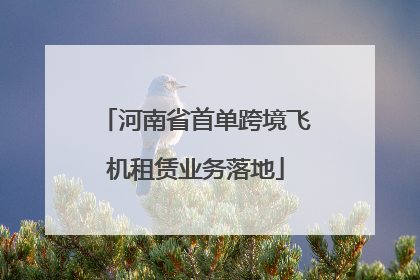 河南省首单跨境飞机租赁业务落地