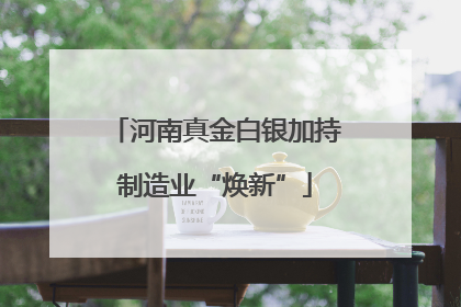 河南真金白银加持制造业“焕新”