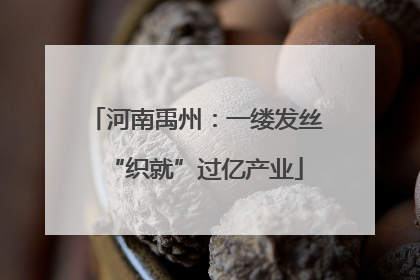 河南禹州：一缕发丝“织就”过亿产业