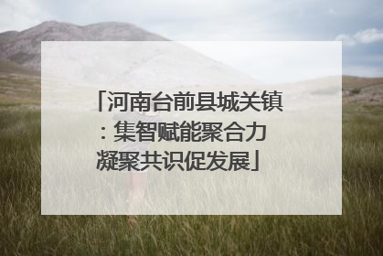 河南台前县城关镇：集智赋能聚合力 凝聚共识促发展