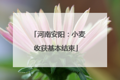 河南安阳：小麦收获基本结束